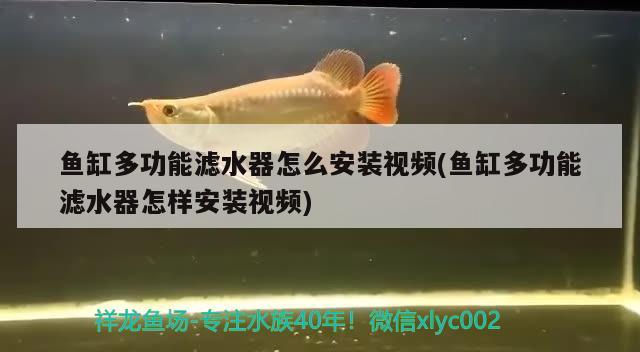 鱼缸多功能滤水器怎么安装视频(鱼缸多功能滤水器怎样安装视频)