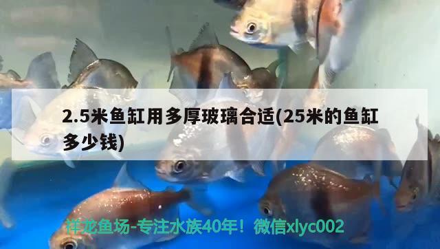 2.5米鱼缸用多厚玻璃合适(25米的鱼缸多少钱) 广州水族器材滤材批发市场