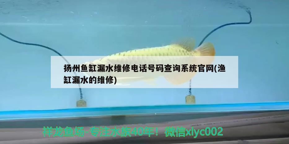 扬州鱼缸漏水维修电话号码查询系统官网(渔缸漏水的维修)