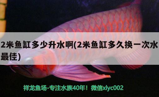 2米鱼缸多少升水啊(2米鱼缸多久换一次水最佳) 广州水族批发市场