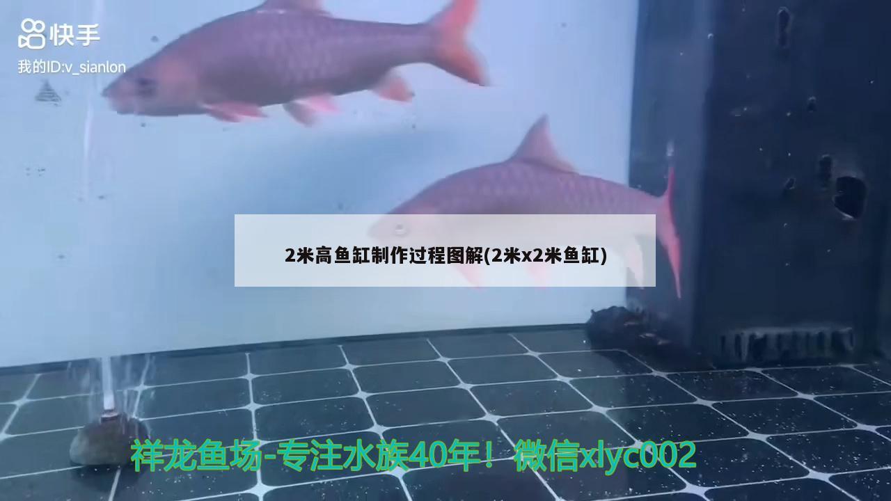 2米高鱼缸制作过程图解(2米x2米鱼缸)