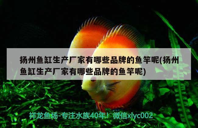 扬州鱼缸生产厂家有哪些品牌的鱼竿呢(扬州鱼缸生产厂家有哪些品牌的鱼竿呢) 垂钓乐园 第1张