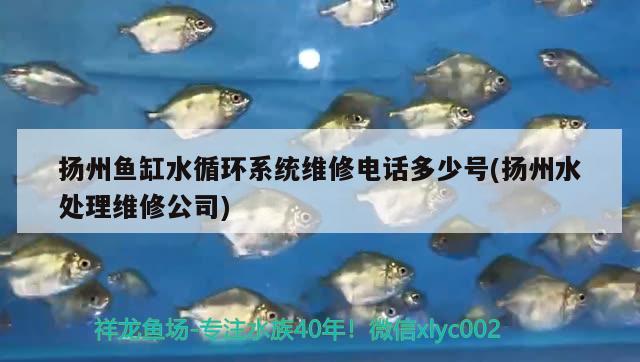 扬州鱼缸水循环系统维修电话多少号(扬州水处理维修公司)