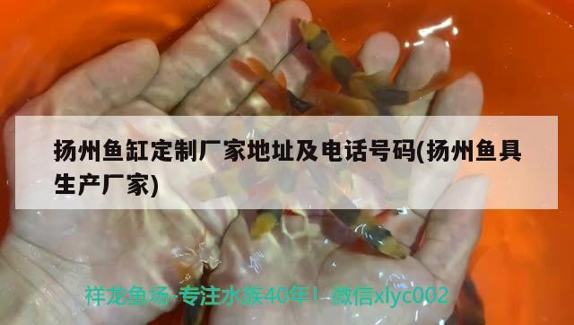 扬州鱼缸定制厂家地址及电话号码(扬州鱼具生产厂家)