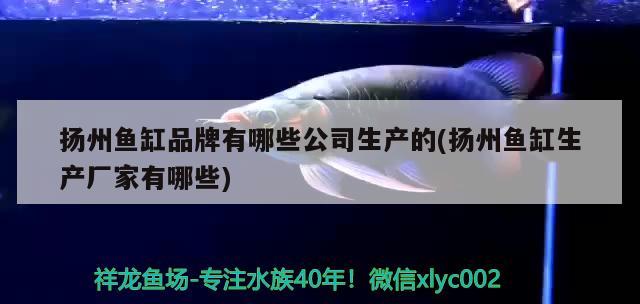 扬州鱼缸品牌有哪些公司生产的(扬州鱼缸生产厂家有哪些)