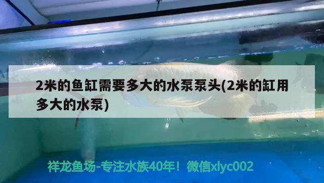 2米的鱼缸需要多大的水泵泵头(2米的缸用多大的水泵) 广州祥龙国际水族贸易