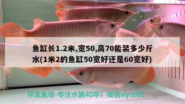 鱼缸长1.2米,宽50,高70能装多少斤水(1米2的鱼缸50宽好还是60宽好)