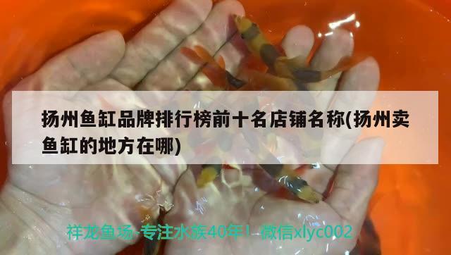 扬州鱼缸品牌排行榜前十名店铺名称(扬州卖鱼缸的地方在哪) 祥龙鱼场