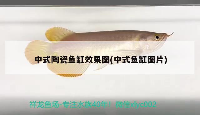 中式陶瓷鱼缸效果图(中式鱼缸图片) 和尚鱼