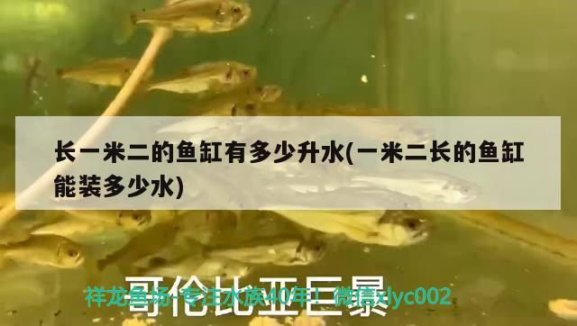 长一米二的鱼缸有多少升水(一米二长的鱼缸能装多少水) 巴卡雷龙鱼