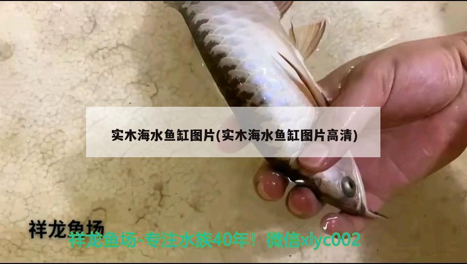 实木海水鱼缸图片(实木海水鱼缸图片高清) 海水鱼