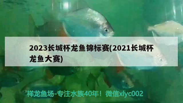 2023长城杯龙鱼锦标赛(2021长城杯龙鱼大赛)