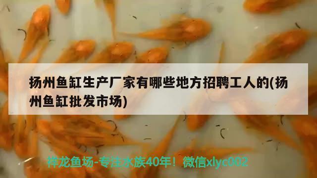 扬州鱼缸生产厂家有哪些地方招聘工人的(扬州鱼缸批发市场)