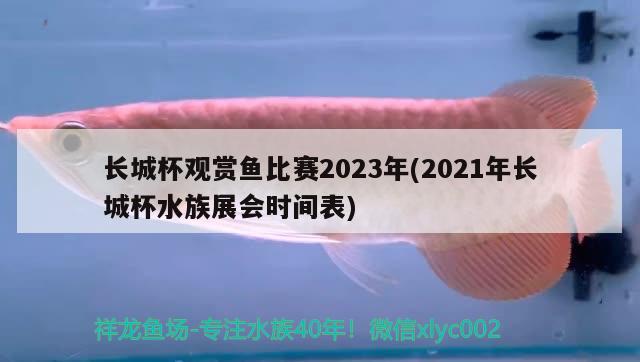 长城杯观赏鱼比赛2023年(2021年长城杯水族展会时间表)