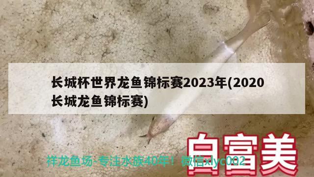长城杯世界龙鱼锦标赛2023年(2020长城龙鱼锦标赛)