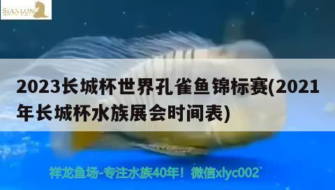 2023长城杯世界孔雀鱼锦标赛(2021年长城杯水族展会时间表)