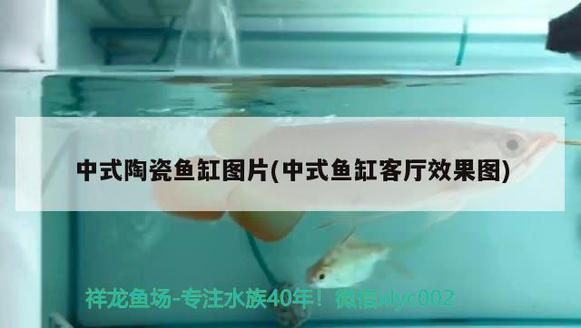 中式陶瓷鱼缸图片(中式鱼缸客厅效果图) 和尚鱼