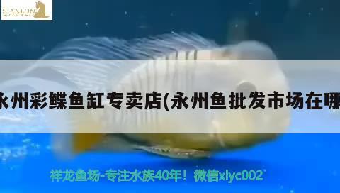 永州彩鲽鱼缸专卖店(永州鱼批发市场在哪)