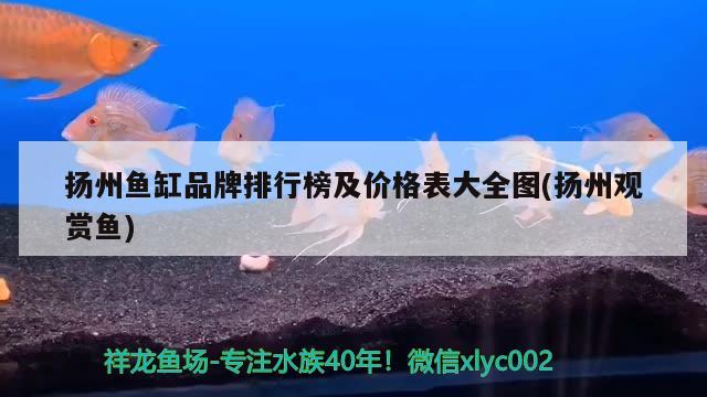 扬州鱼缸品牌排行榜及价格表大全图(扬州观赏鱼)