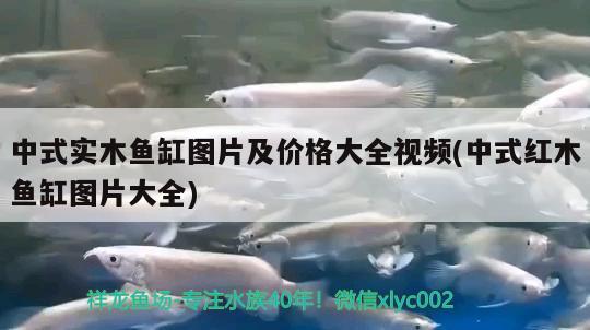 中式实木鱼缸图片及价格大全视频(中式红木鱼缸图片大全)