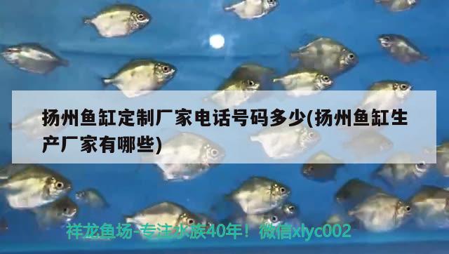 扬州鱼缸定制厂家电话号码多少(扬州鱼缸生产厂家有哪些)