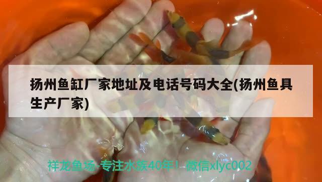 扬州鱼缸厂家地址及电话号码大全(扬州鱼具生产厂家) 超血红龙鱼