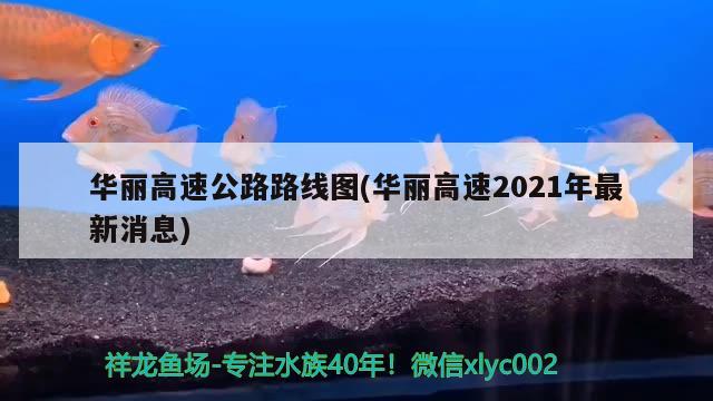 华丽高速公路路线图(华丽高速2021年最新消息) 观赏鱼