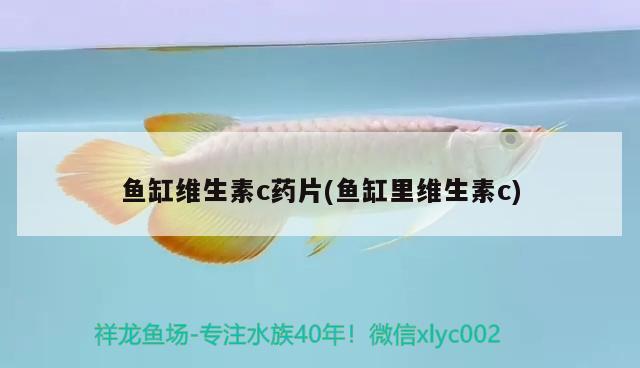 鱼缸维生素c药片(鱼缸里维生素c) 水温计