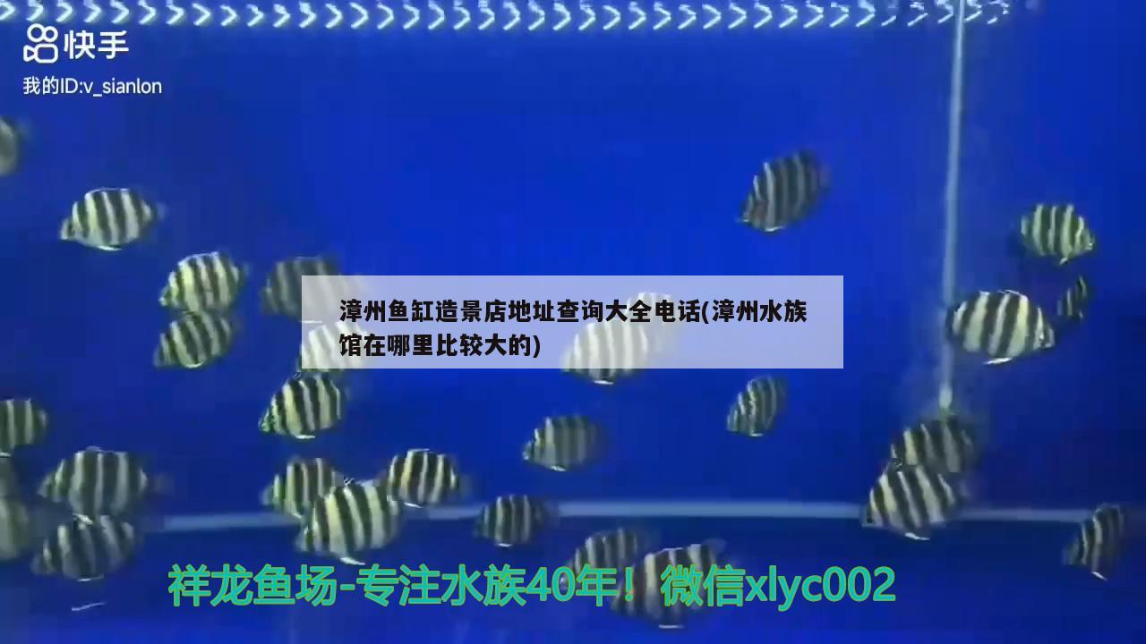 漳州鱼缸造景店地址查询大全电话(漳州水族馆在哪里比较大的)