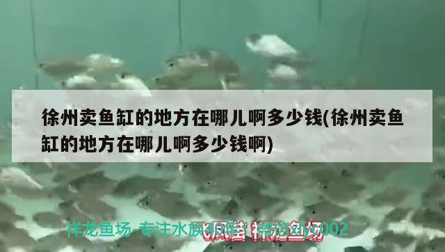 徐州卖鱼缸的地方在哪儿啊多少钱(徐州卖鱼缸的地方在哪儿啊多少钱啊) 三间鼠鱼