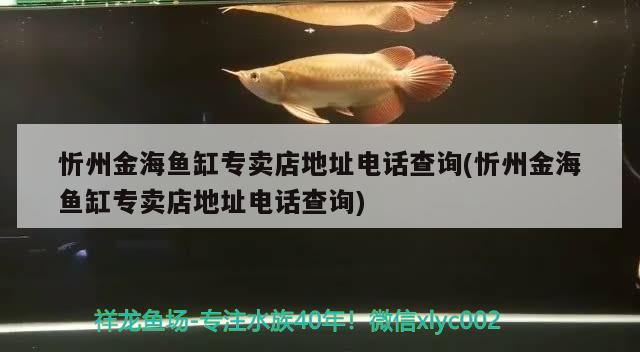 忻州金海鱼缸专卖店地址电话查询(忻州金海鱼缸专卖店地址电话查询)