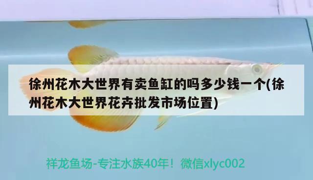 徐州花木大世界有卖鱼缸的吗多少钱一个(徐州花木大世界花卉批发市场位置) 鸭嘴鲨鱼