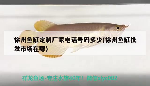 徐州鱼缸定制厂家电话号码多少(徐州鱼缸批发市场在哪)