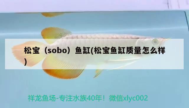 松宝（sobo）鱼缸(松宝鱼缸质量怎么样)