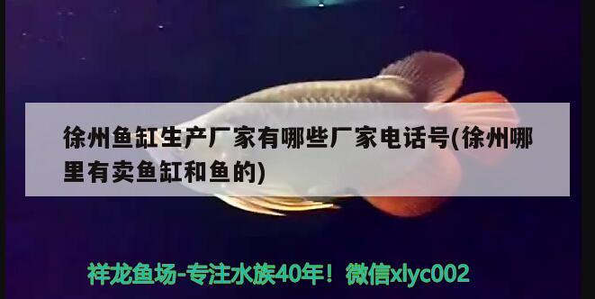 徐州鱼缸生产厂家有哪些厂家电话号(徐州哪里有卖鱼缸和鱼的)