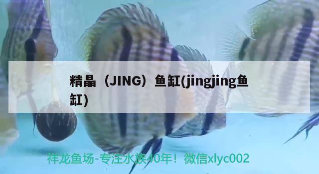 精晶（JING）鱼缸(jingjing鱼缸) 其他品牌鱼缸