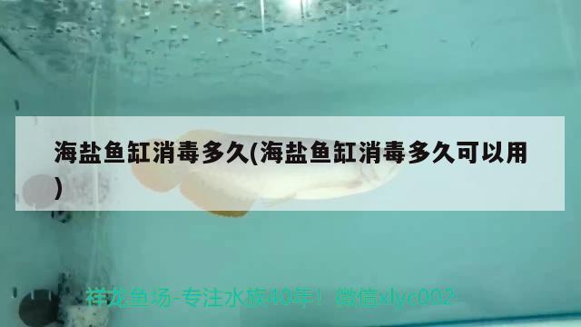 海盐鱼缸消毒多久(海盐鱼缸消毒多久可以用) 斑马鸭嘴鱼