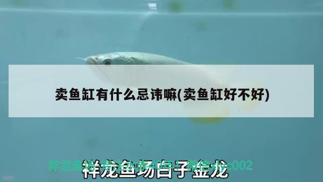 卖鱼缸有什么忌讳嘛(卖鱼缸好不好) 广州水族器材滤材批发市场