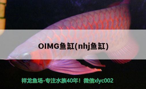 OIMG鱼缸(nhj鱼缸) 其他品牌鱼缸 第1张