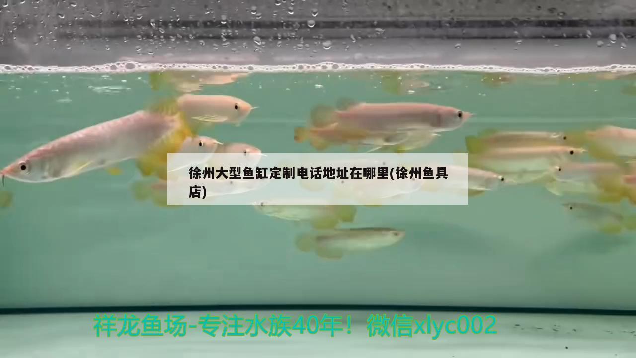 徐州大型鱼缸定制电话地址在哪里(徐州鱼具店)