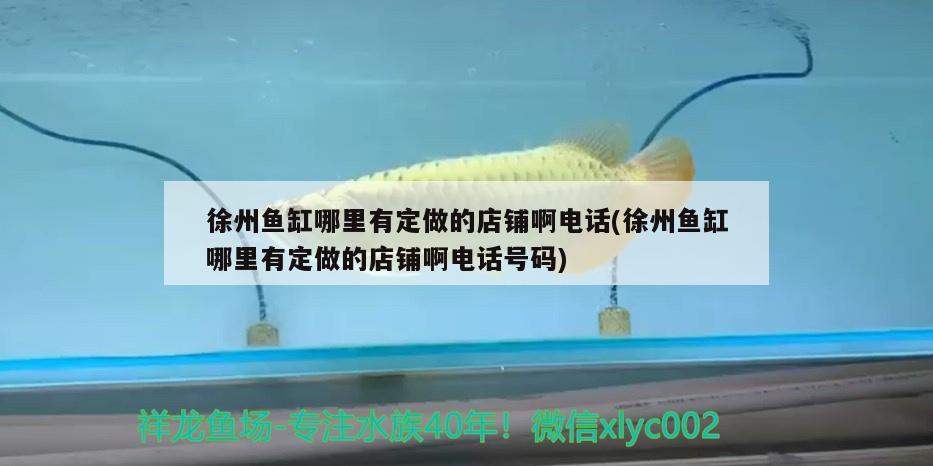 徐州鱼缸哪里有定做的店铺啊电话(徐州鱼缸哪里有定做的店铺啊电话号码)
