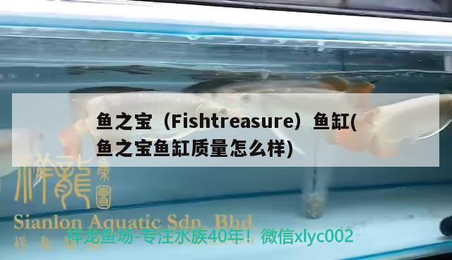 鱼之宝（Fishtreasure）鱼缸(鱼之宝鱼缸质量怎么样) 其他品牌鱼缸
