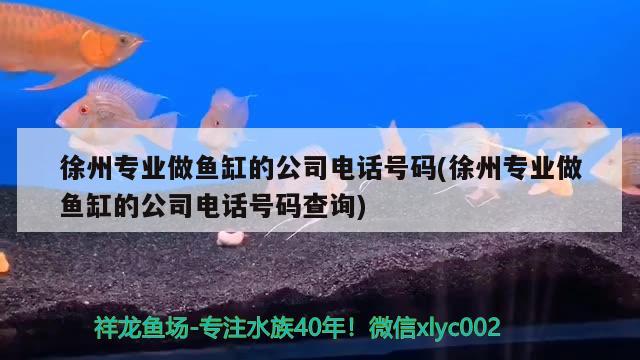 徐州专业做鱼缸的公司电话号码(徐州专业做鱼缸的公司电话号码查询)