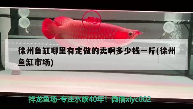 徐州鱼缸哪里有定做的卖啊多少钱一斤(徐州鱼缸市场) 泰庞海鲢鱼