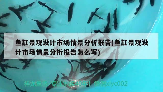 鱼缸景观设计市场情景分析报告(鱼缸景观设计市场情景分析报告怎么写) 广州景观设计