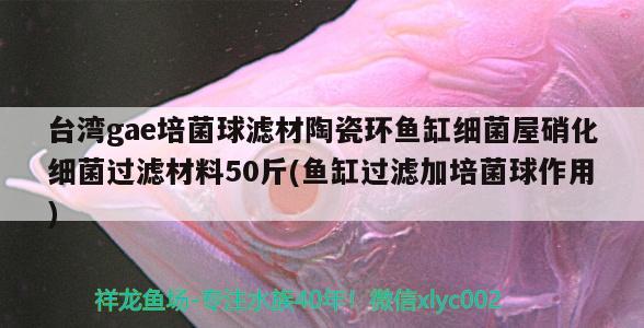 台湾gae培菌球滤材陶瓷环鱼缸细菌屋硝化细菌过滤材料50斤(鱼缸过滤加培菌球作用) 硝化细菌