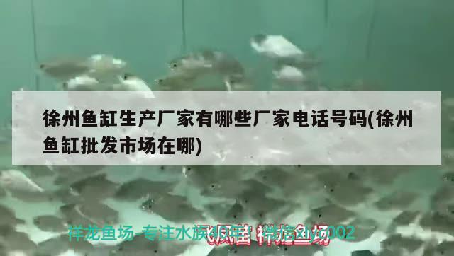 徐州鱼缸生产厂家有哪些厂家电话号码(徐州鱼缸批发市场在哪)