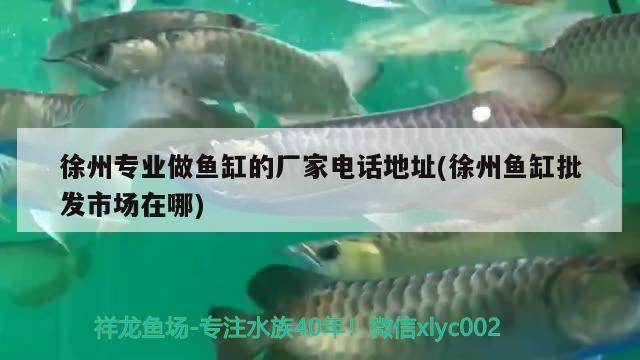 徐州专业做鱼缸的厂家电话地址(徐州鱼缸批发市场在哪)