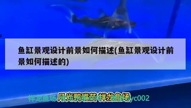 鱼缸景观设计前景如何描述(鱼缸景观设计前景如何描述的) 广州景观设计