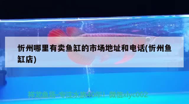 忻州哪里有卖鱼缸的市场地址和电话(忻州鱼缸店)
